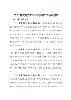 党支部书记2023年度抓党建工作述职报告.docx