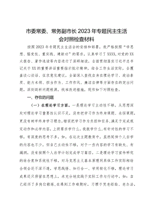 市委常委、常务副市长2023年专题民主生活会对照检查材料.docx