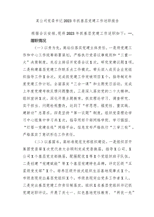 2篇国企公司党委书记2023-2024年抓基层党建工作述职报告.docx