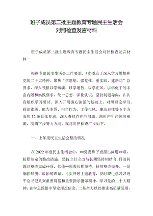 班子成员第二批主题教育专题民主生活会对照检查发言材料.docx