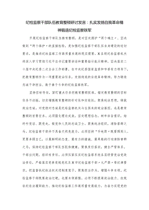 纪检监察干部队伍教育整顿研讨发言.docx