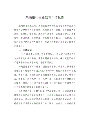 某某银行主题教育评估报告.docx
