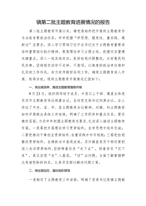 镇第二批主题教育进展情况的报告.docx