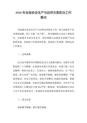 2024年全县安全生产与自然灾害防治工作要点.docx