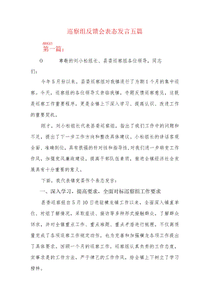 巡察组反馈会表态发言五篇.docx