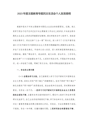 2023年度主题教育专题民主生活会个人发言提纲.docx