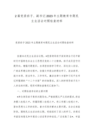 2篇党委班子、副书记2023年主题教育专题民主生活会对照检查材料.docx