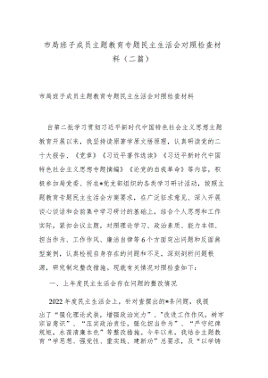 市局班子成员主题教育专题民主生活会对照检查材料(二篇).docx