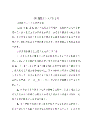 试用期转正个人工作总结.docx