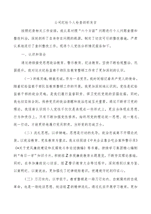 公司纪检个人检查剖析发言.docx