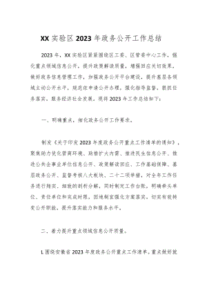XX实验区2023年政务公开工作总结.docx