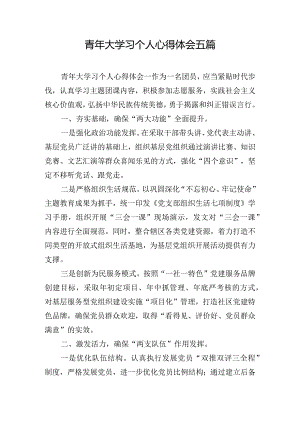 青年大学习个人心得体会五篇.docx
