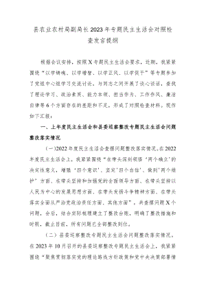 县农业农村局副局长2023年专题民主生活会对照检查发言提纲.docx