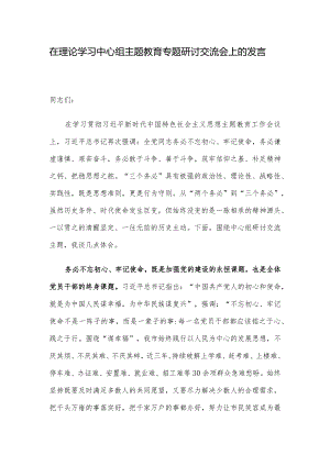 在理论学习中心组主题教育专题研讨交流会上的发言.docx