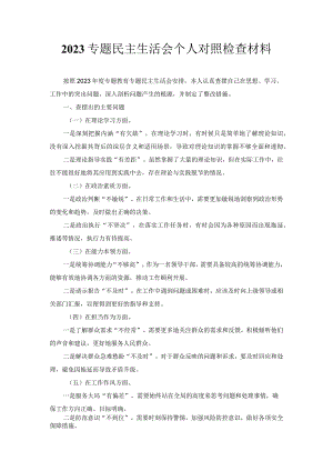 专题民主生活会个人对照检查材料 .docx