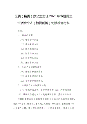 区委（县委）办公室主任2023年专题民主生活会个人（检视剖析）对照检查材料.docx