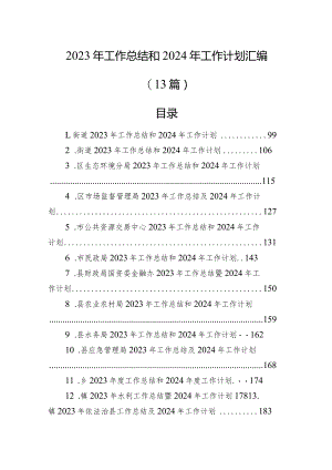 2023年工作总结和2024年工作计划汇编（13篇）.docx