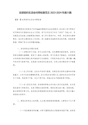 支部组织生活会对照检查范文2023-2024年度六篇.docx