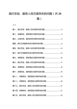 2024践行宗旨、服务人民方面存在的问题20篇供参考.docx