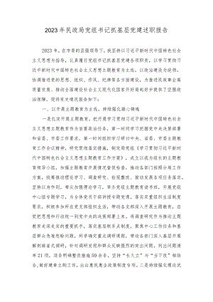 2023年民政局党组书记抓基层党建述职报告（3篇）.docx