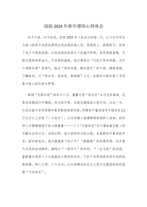 迎接2024年新年感悟心得体会.docx
