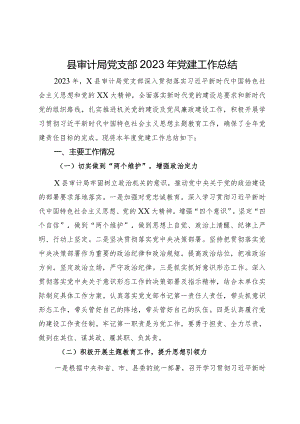 县审计局党支部2023年党建工作总结.docx