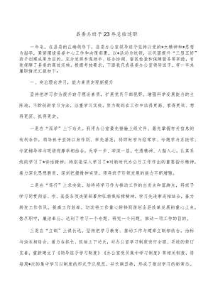县委办班子23年总结述职.docx