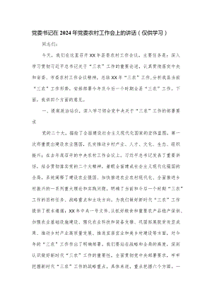 党委书记在2024年党委农村工作会上的讲话.docx