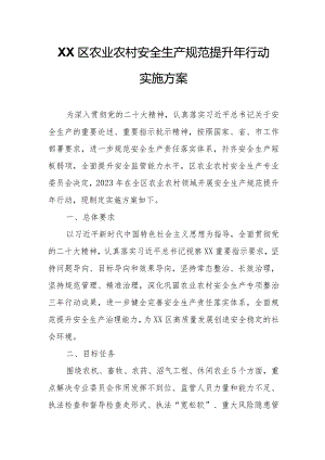 XX区农业农村安全生产规范提升年行动实施方案.docx