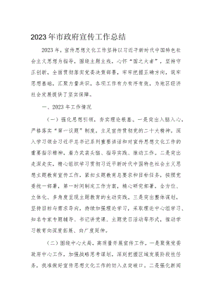 2023年市政府宣传工作总结.docx