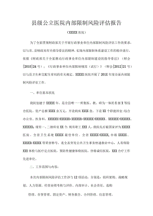 公立医院风险评估报告.docx