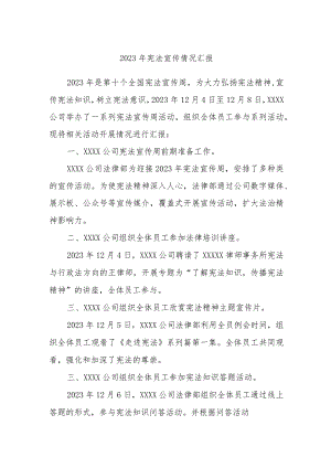 2023年宪法宣传情况汇报.docx