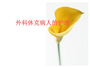 休克病人的护理.ppt.ppt