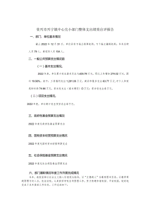 资兴市兴宁镇中心完小部门整体支出绩效自评报告.docx