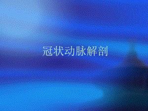 冠脉解剖及DSCT冠脉检查方法及应用.ppt