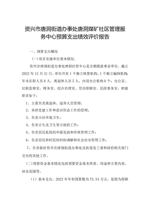 资兴市唐洞街道办事处唐洞煤矿社区管理服务中心预算支出绩效评价报告.docx