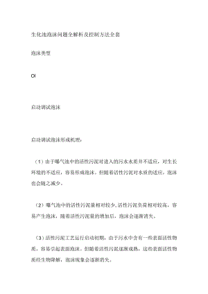 生化池泡沫问题全解析及控制方法全套.docx