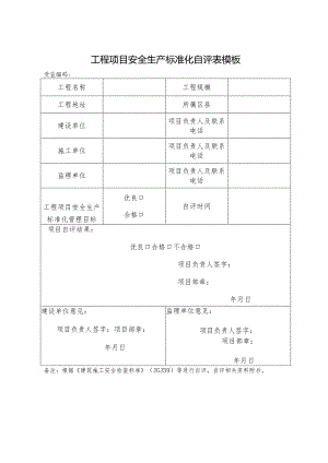 工程项目安全生产标准化自评表模板.docx