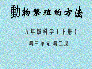 动物繁殖的方法　.ppt