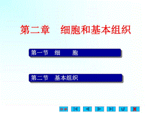 人体解剖生理学 第2章 细胞和基本组织.ppt