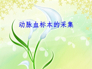 动脉采血.ppt