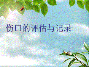伤口的评估与记录资料.ppt