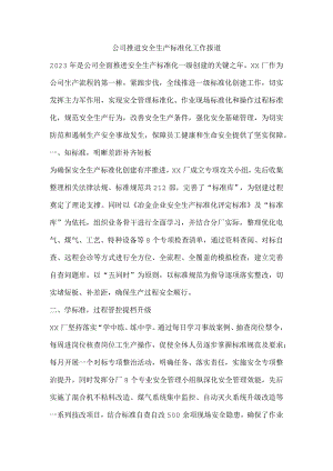 公司推进安全生产标准化工作报道.docx