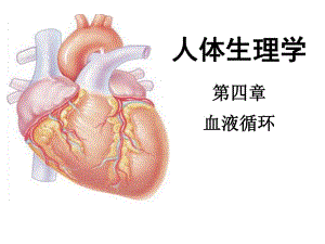 人体生理学第四章血液循环(一).ppt