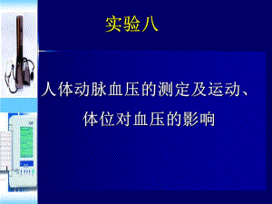 人体血压测量.ppt