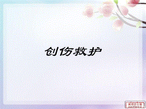 创伤急救.ppt