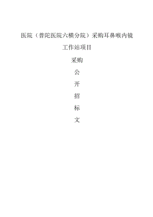 医院（普陀医院六横分院）采购耳鼻喉内镜工作站项目招标文件.docx