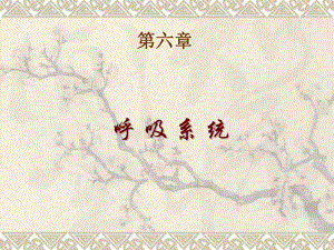 人体解剖学3呼吸系统.ppt
