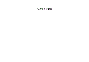 行动整改计划表.docx