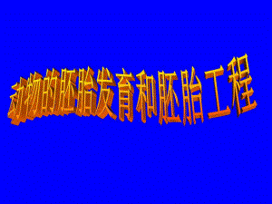 动物的胚胎发育和胚胎工程.ppt